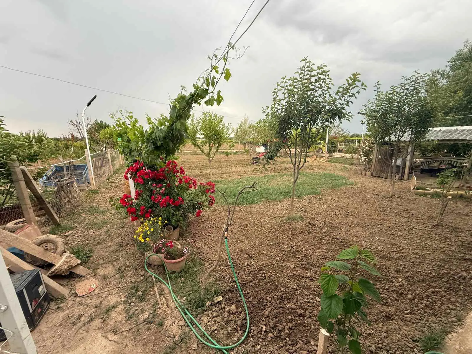 Property image 25