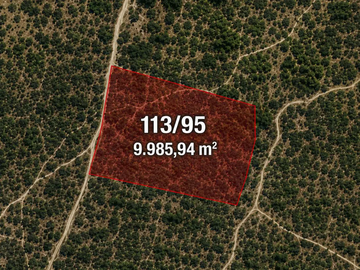 BEŞPINAR'DA DOĞAYLA İÇ İÇE, SUYU OLAN VE ÜRETİME UYGUN 9.986 M² TARLA
