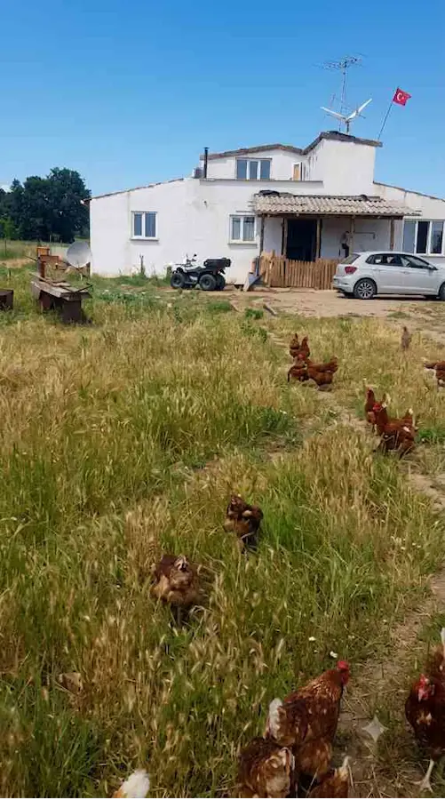 KIRKLARELİ PINARHİSAR ÇAYIRDERE'DE SATILIK HAZIR KURULU ÇİFTLİK
