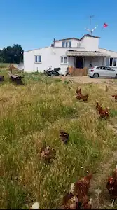KIRKLARELİ PINARHİSAR ÇAYIRDERE'DE SATILIK HAZIR KURULU ÇİFTLİK