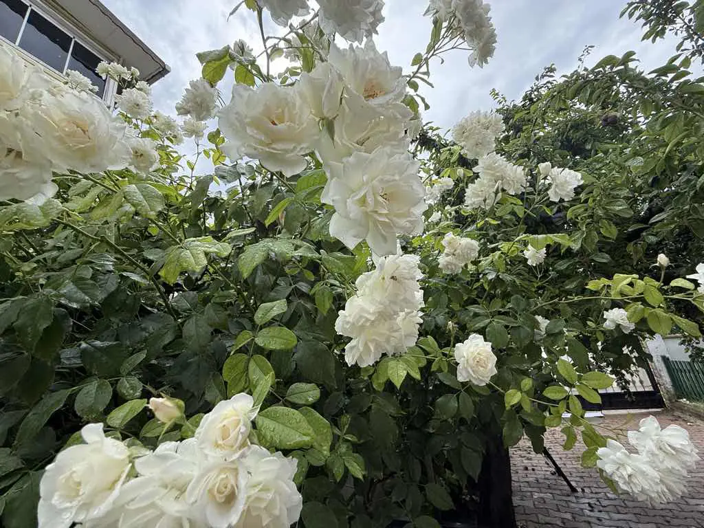 Property image 27