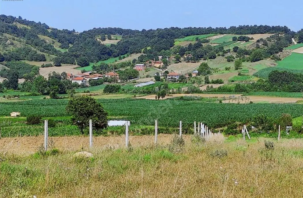 KOCAELİ KANDIRA 'DA MÜSTAKİL PARSEL 3.921 M2 SATILIK TARLA/ARAZİ