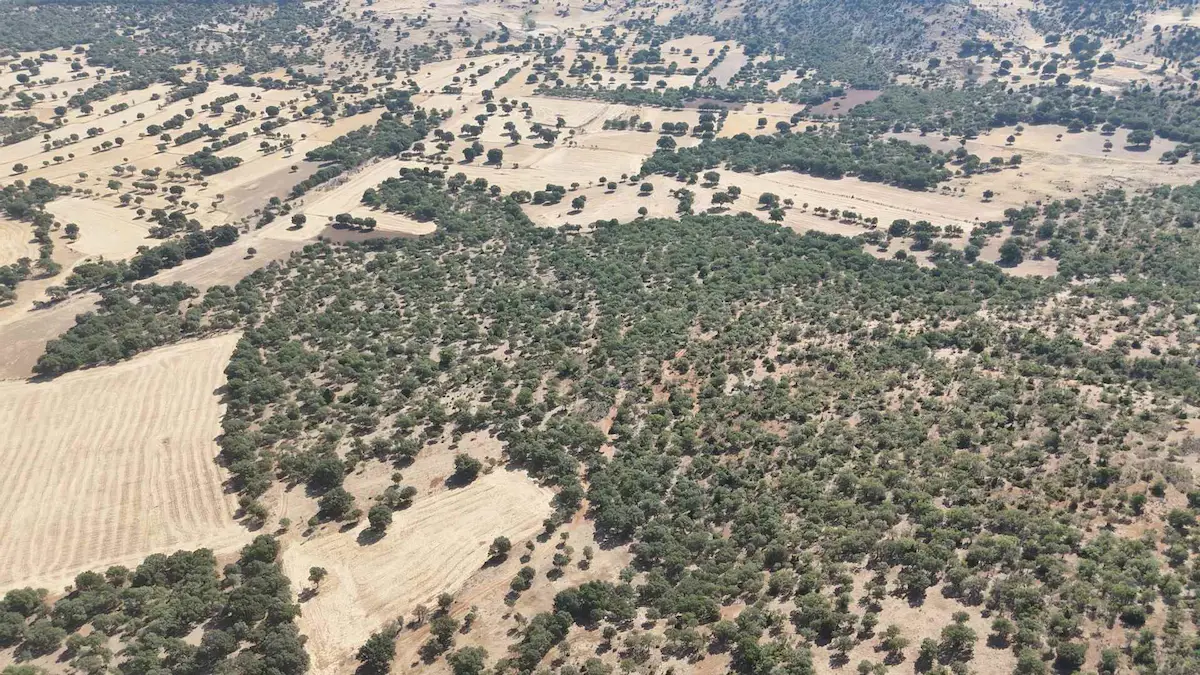 DENZLİ ÇİVRİL İĞDİR'DE YATIRIMLIK FIRSAT ARAZİ!!!