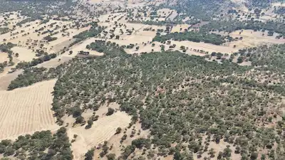 DENZLİ ÇİVRİL İĞDİR'DE YATIRIMLIK FIRSAT ARAZİ!!!