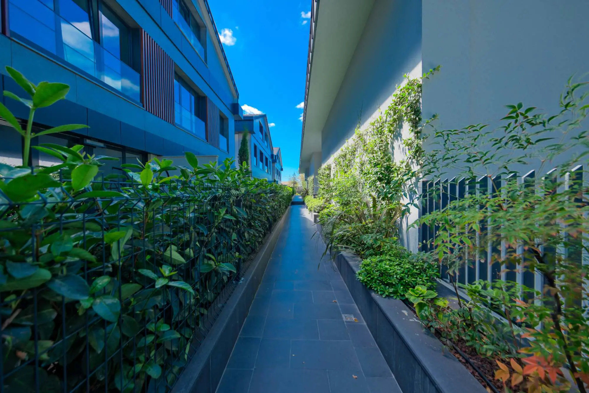 Property image 59