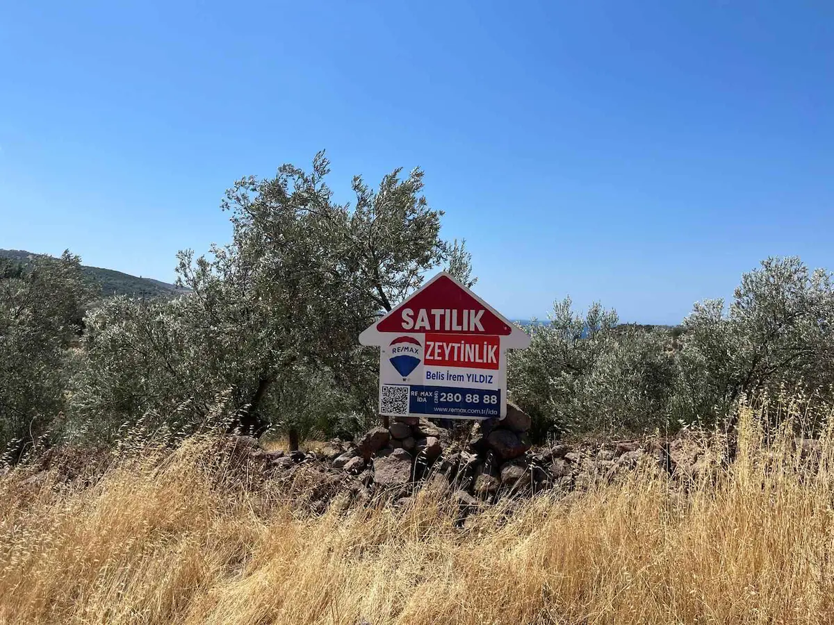ASSOS AKLIMAN'DA ASFALTA CEPHE DENIZ MANZARALI FIRSAT ZEYTINLIK