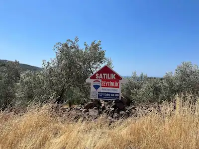 ASSOS AKLIMAN'DA ASFALTA CEPHE DENIZ MANZARALI FIRSAT ZEYTINLIK
