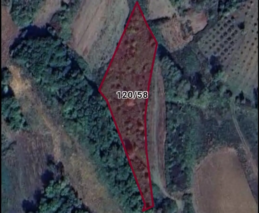KANDIRA HACIMAZLI'DA YATIRIMLIK 2.853M² SATILIK ARAZİ