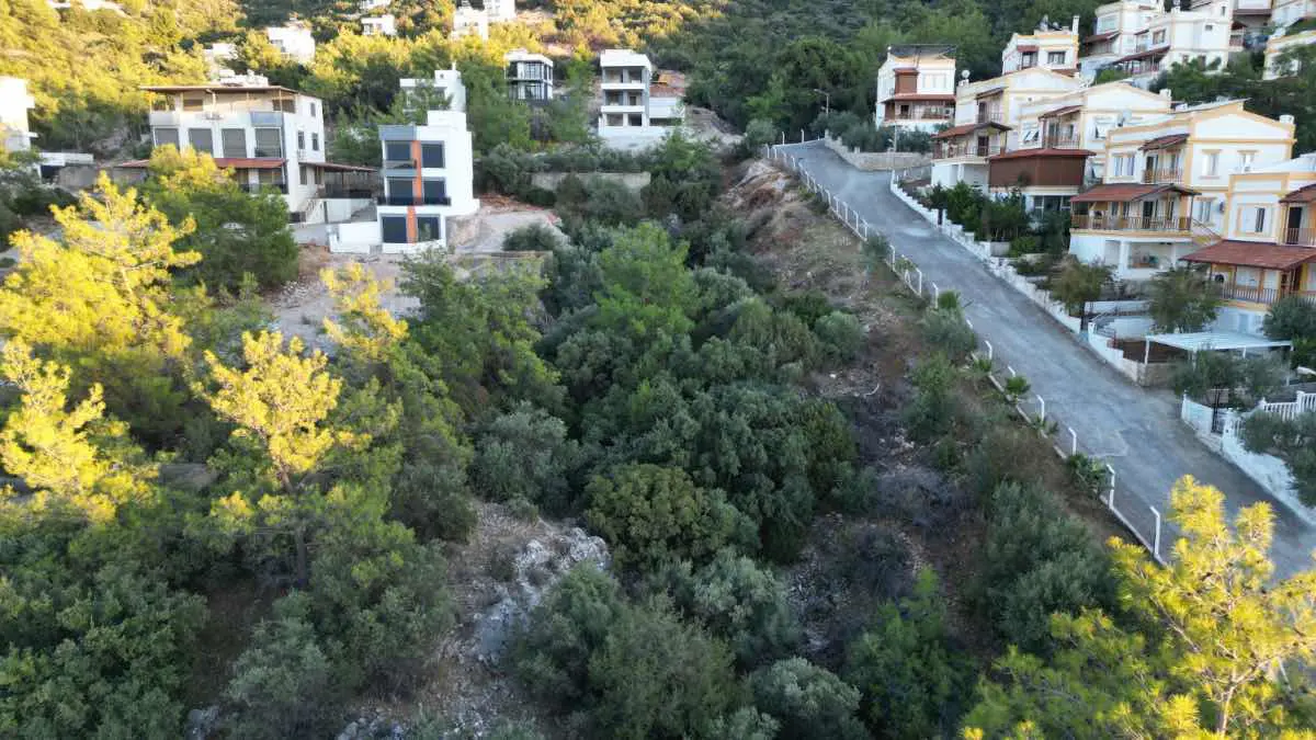 Property image 30