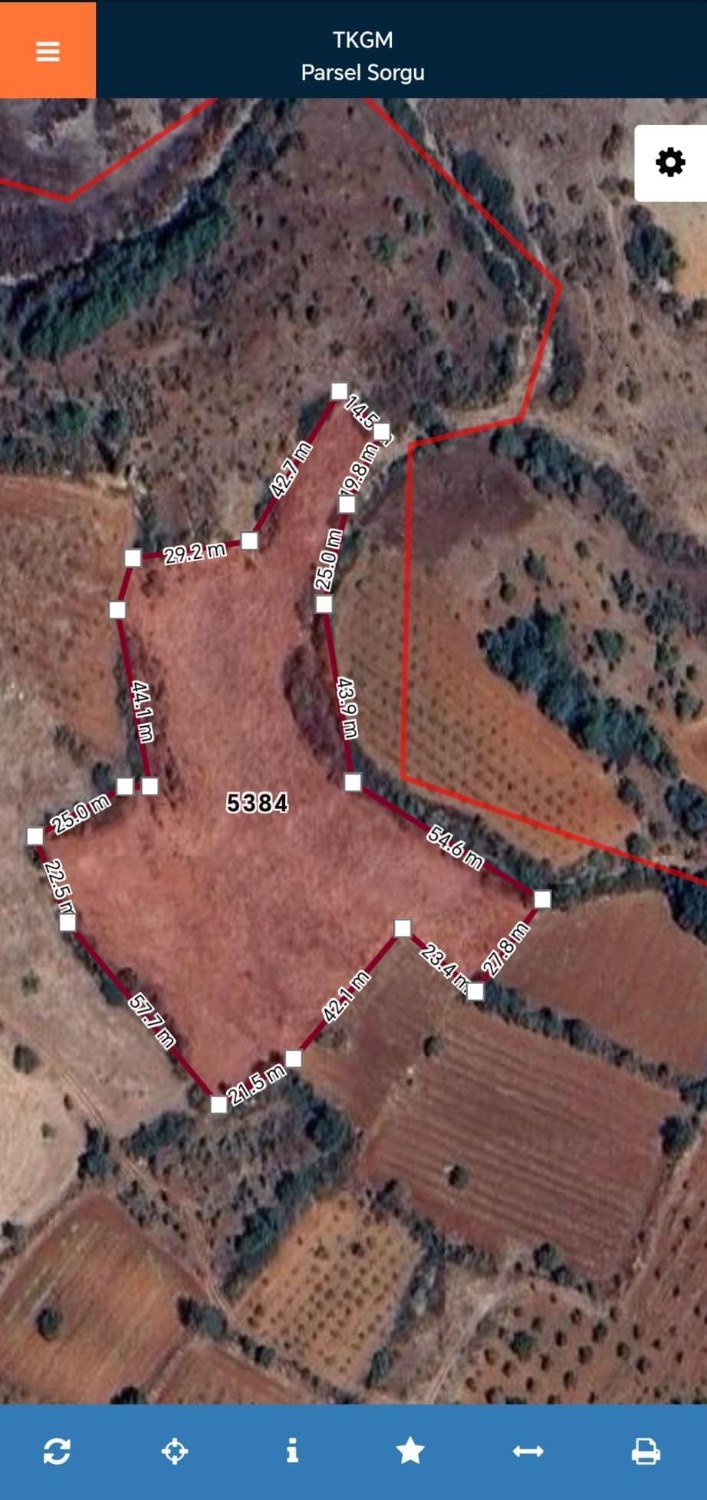 REMAX MODEL'DEN ÇAL ORTAKÖY'DE 9572M² TARLA