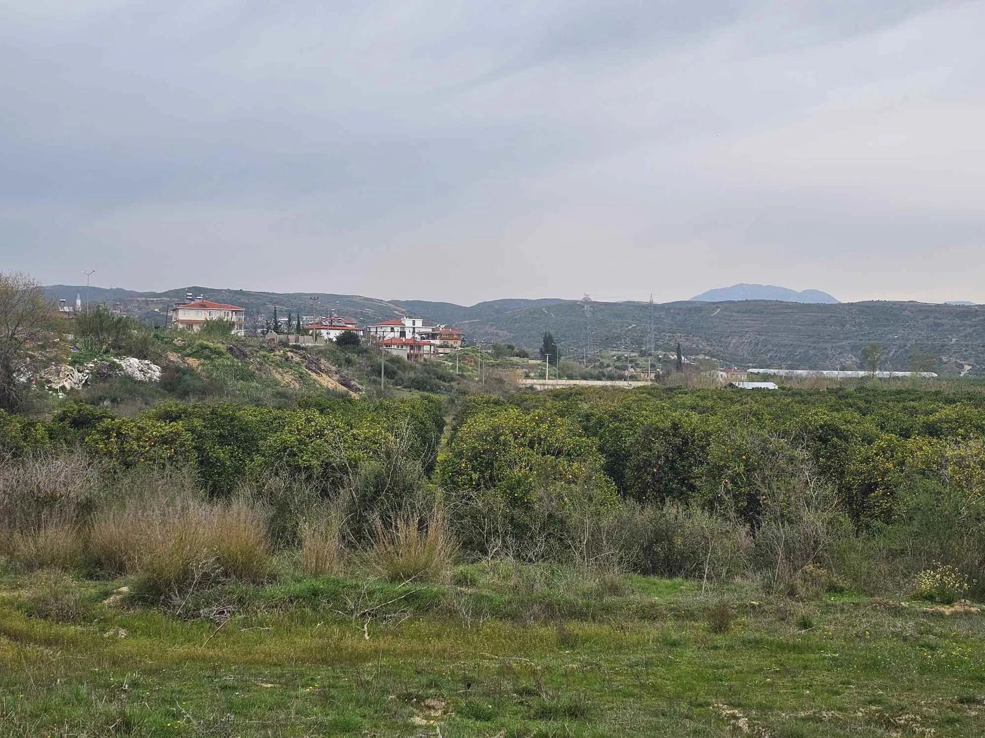 Property image 24