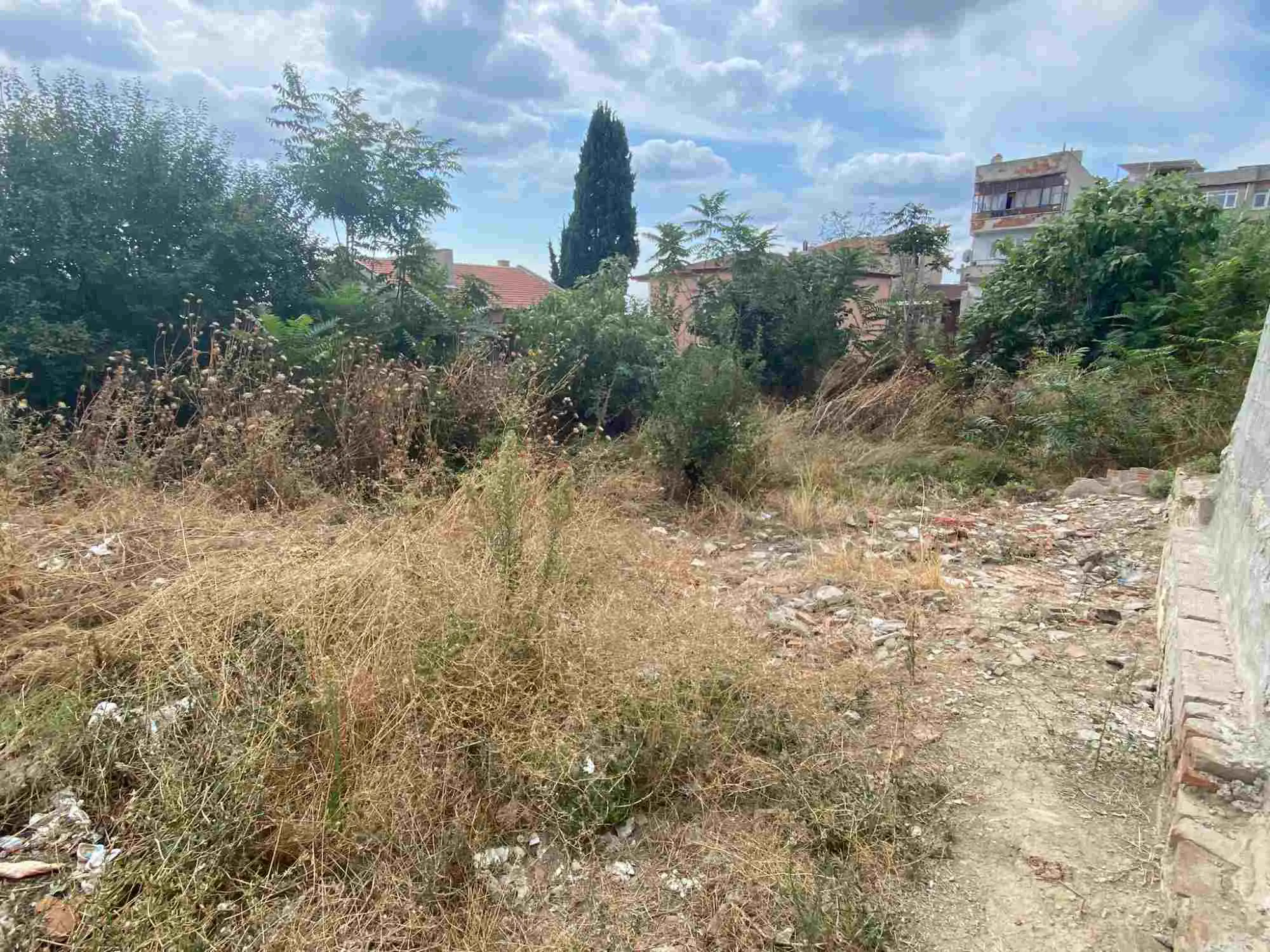 Property image 35