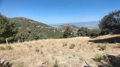 BURHANIYE ÇALLI'DA 3.236 M² SATILIK TARLA!
