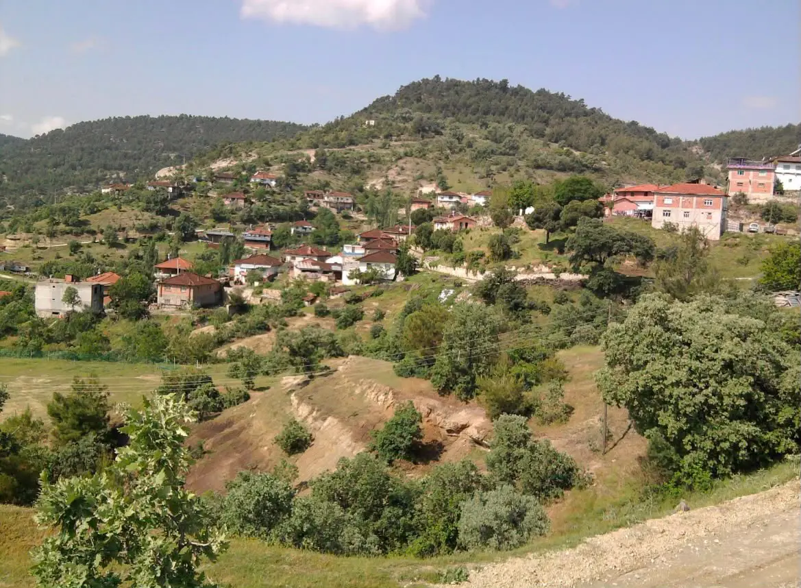 Property image 1