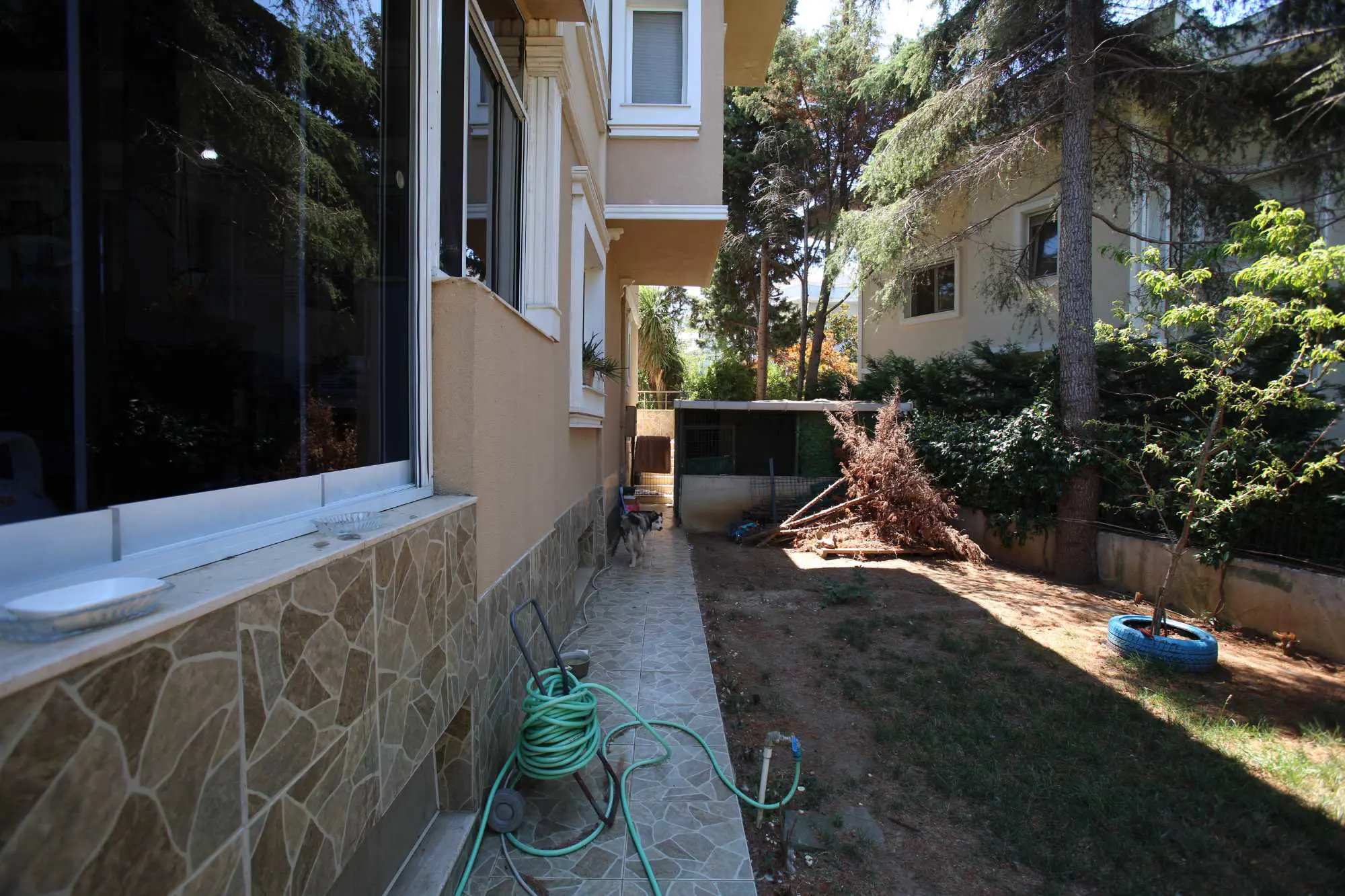 Property image 39