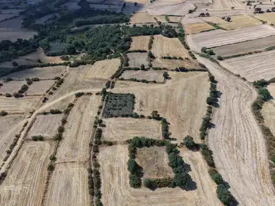 BİGA GÜVEMALAN KÖYÜ’NDE DENİZE YAKIN 3.125 M² ARAZİ