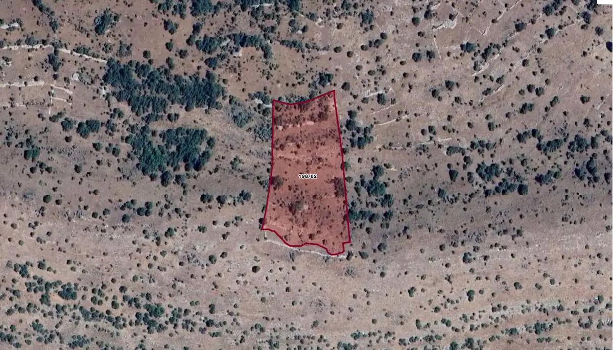 KONYA BOZKIR ÇAĞLAYAN’DA 8.315 M² SATILIK BAĞ