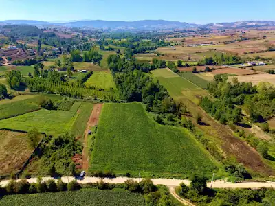 ACİL KANDIRA TOPLUCADA YOLA 1 PARSEL DÜZ EĞİMSİZ 533 M² TARLA
