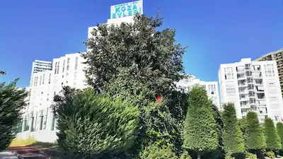 ISPARTAKULE GARANTI KOZA 1 KIRALIK MANZARALI EŞYALI 2+1 DAIRE