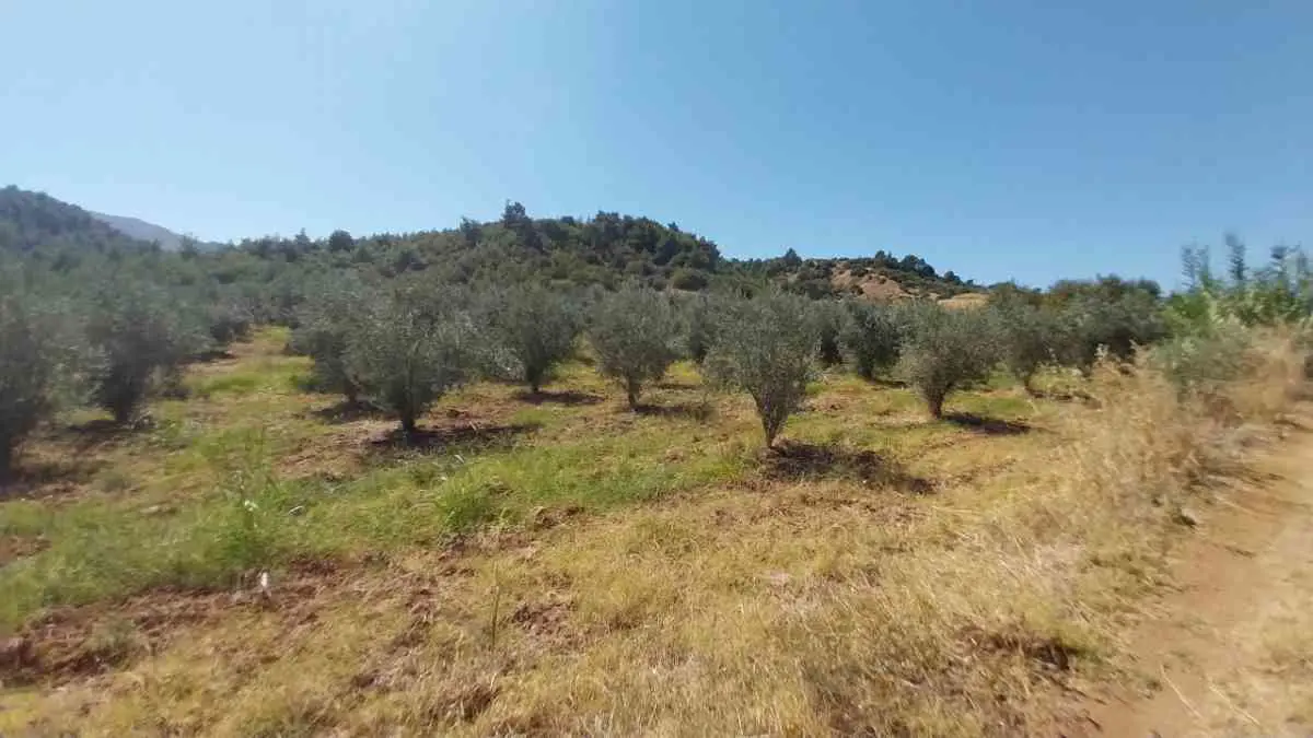 Property image 18