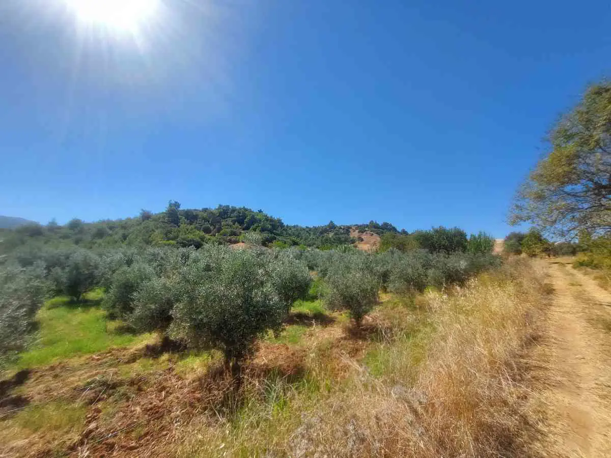 Property image 17