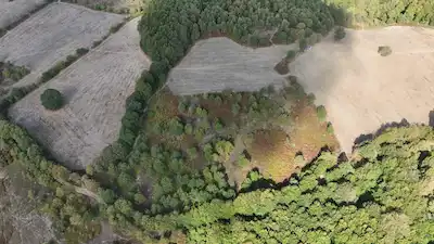 ÇANAKKALE YENİCE TABANKÖY'DE FIRSAT ARAZİ