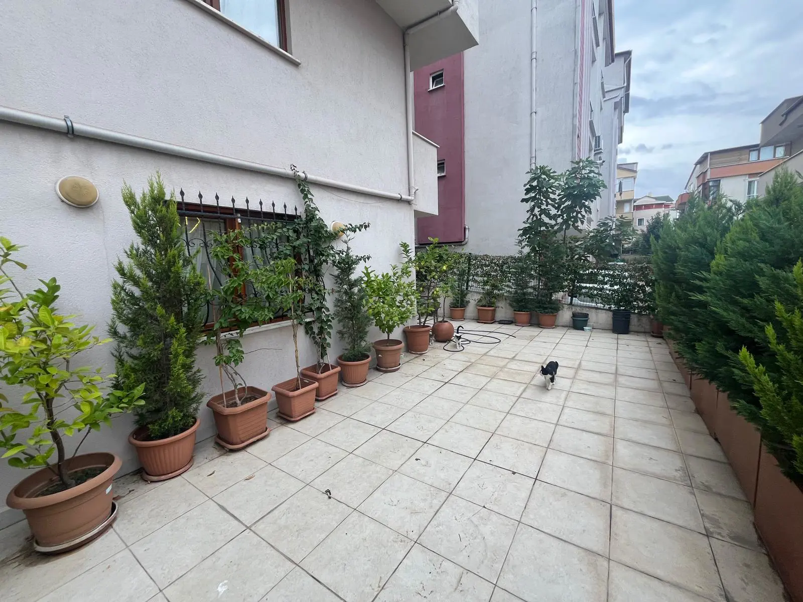 Property image 24