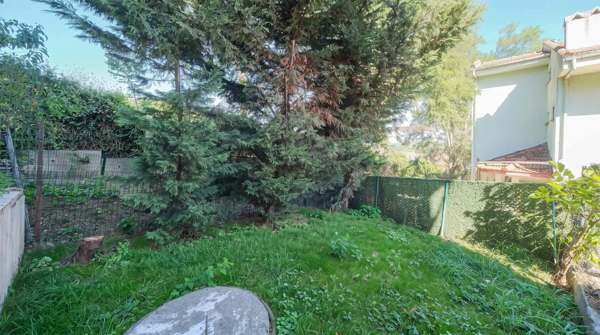 Property image 42