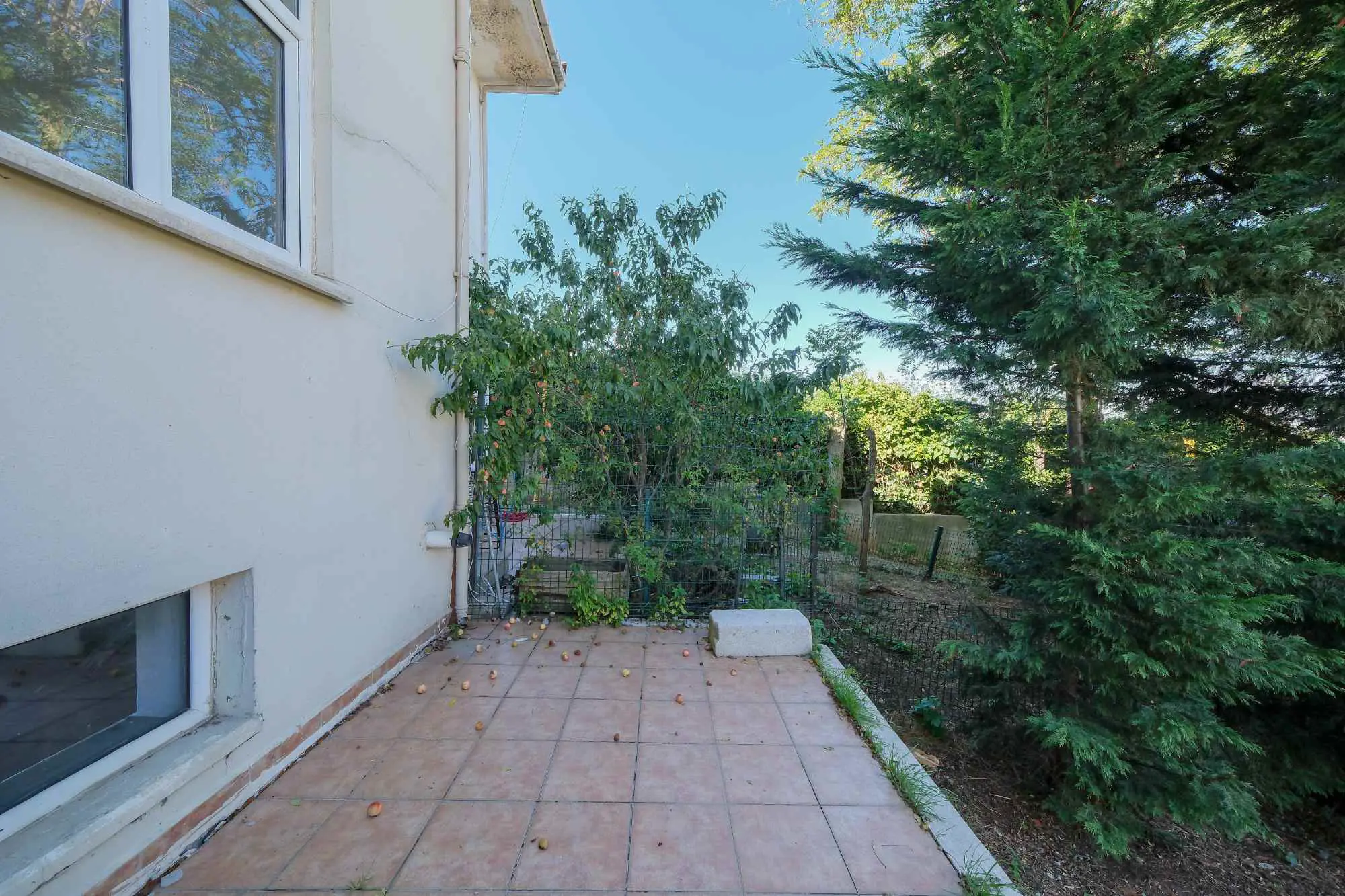 Property image 39