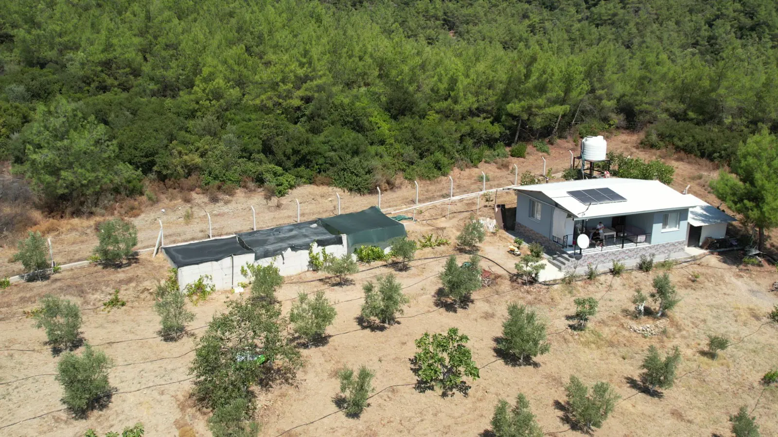 Property image 8