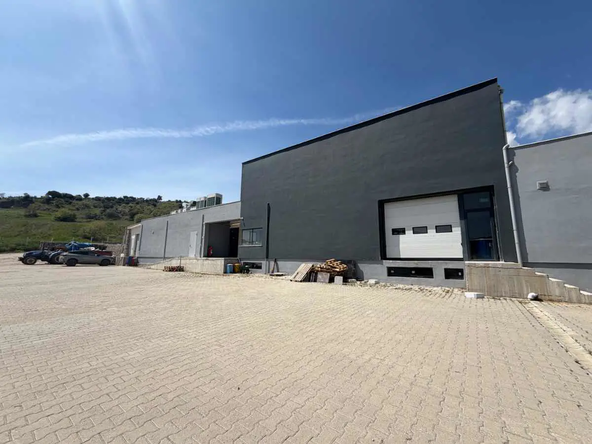 Property image 11