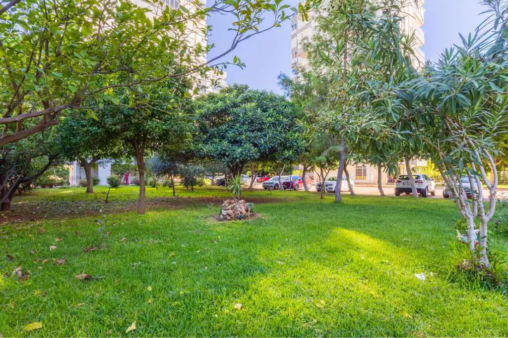 Property image 18