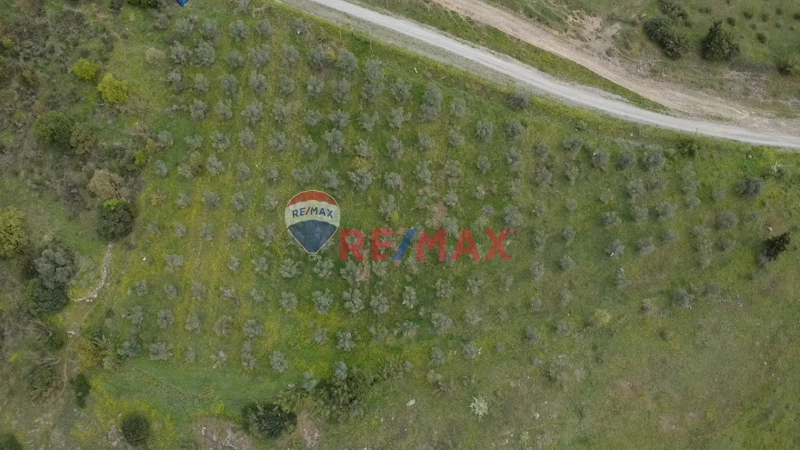 REMAX FREKANS'TAN KIZDERBENT'TE 4 DÖNÜM TARLA