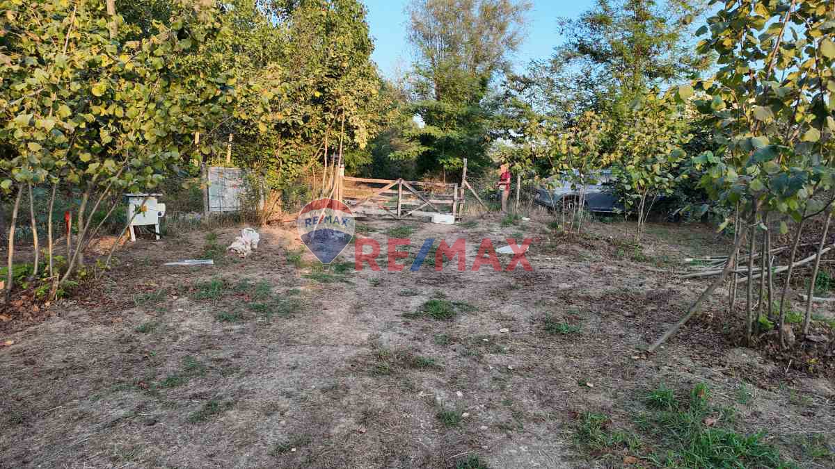 DİKBIYIK'DA BAKIMLI FINDIK/HOBİ BAHÇESİ