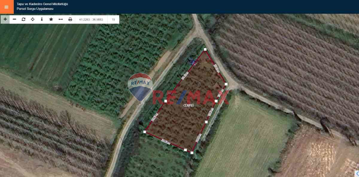 DİKBIYIK'DA BAKIMLI FINDIK/HOBİ BAHÇESİ