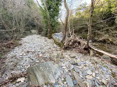 İZMİR BAYINDIR BALCILAR’DA KADASTRAL YOLA YAKIN 2.704 M² SATILIK ZEYTİNLİK