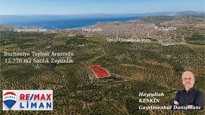 BURHANİYE TAYLIELİ ARASINDA MERKEZE YAKIN SATILIK ZEYTİNLİK