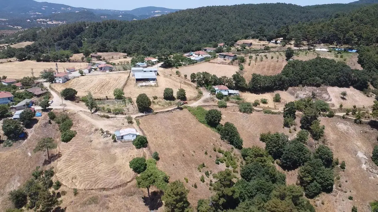 Property image 18