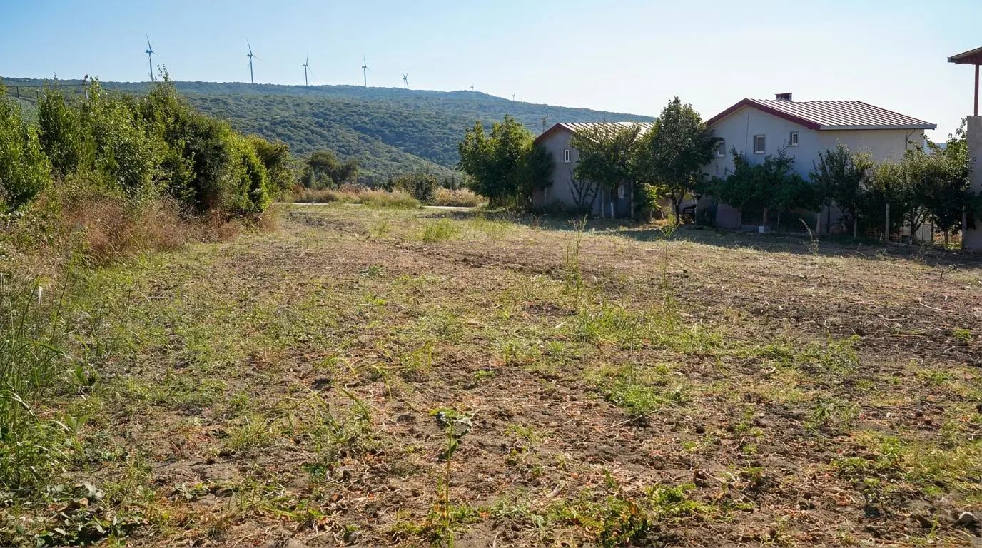 Property image 18
