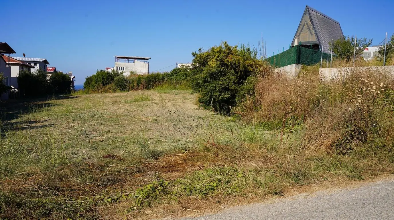 Property image 21