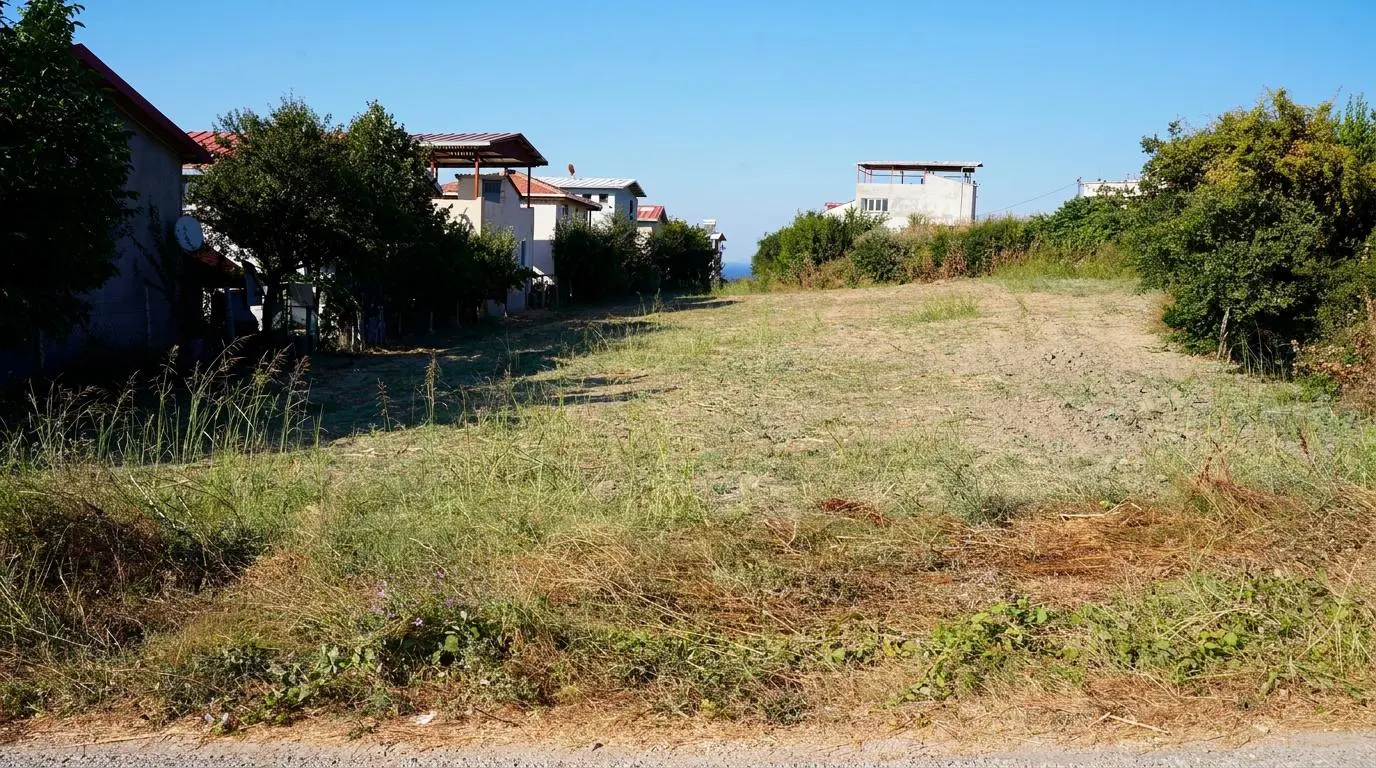 Property image 22