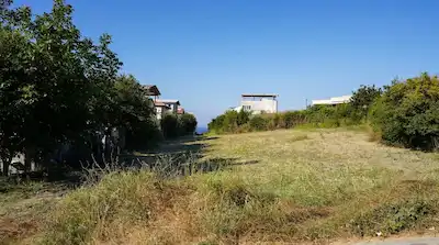 REMAX BEYAZ MUDANYA MESUDİYE'DE SATILIK TARLA