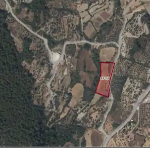 MUĞLA MENTEŞE DAĞPINARDA SATILIK YOLA CEPHELI TARLA