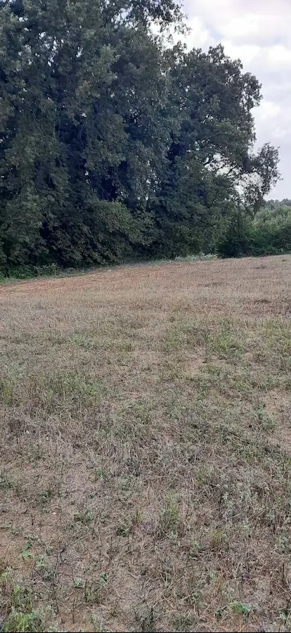 KANDIRA HIDIRLAR'DA KEKLİK VADİSİ 5DK 2.853M² SATILIK TARLA