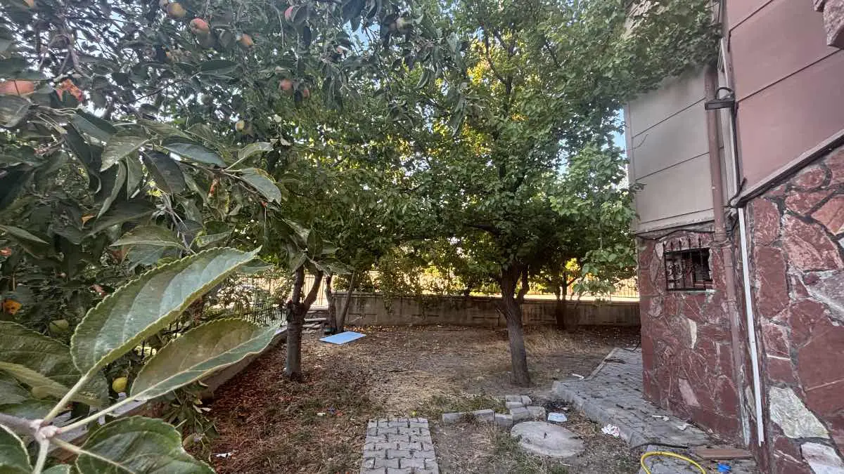 Property image 26