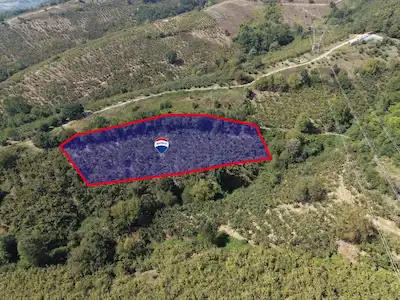 REMAX DIA’DAN DÜZCE ESENTEPE KÖYÜNDE 3.397 M² SATILIK FINDIKLIK