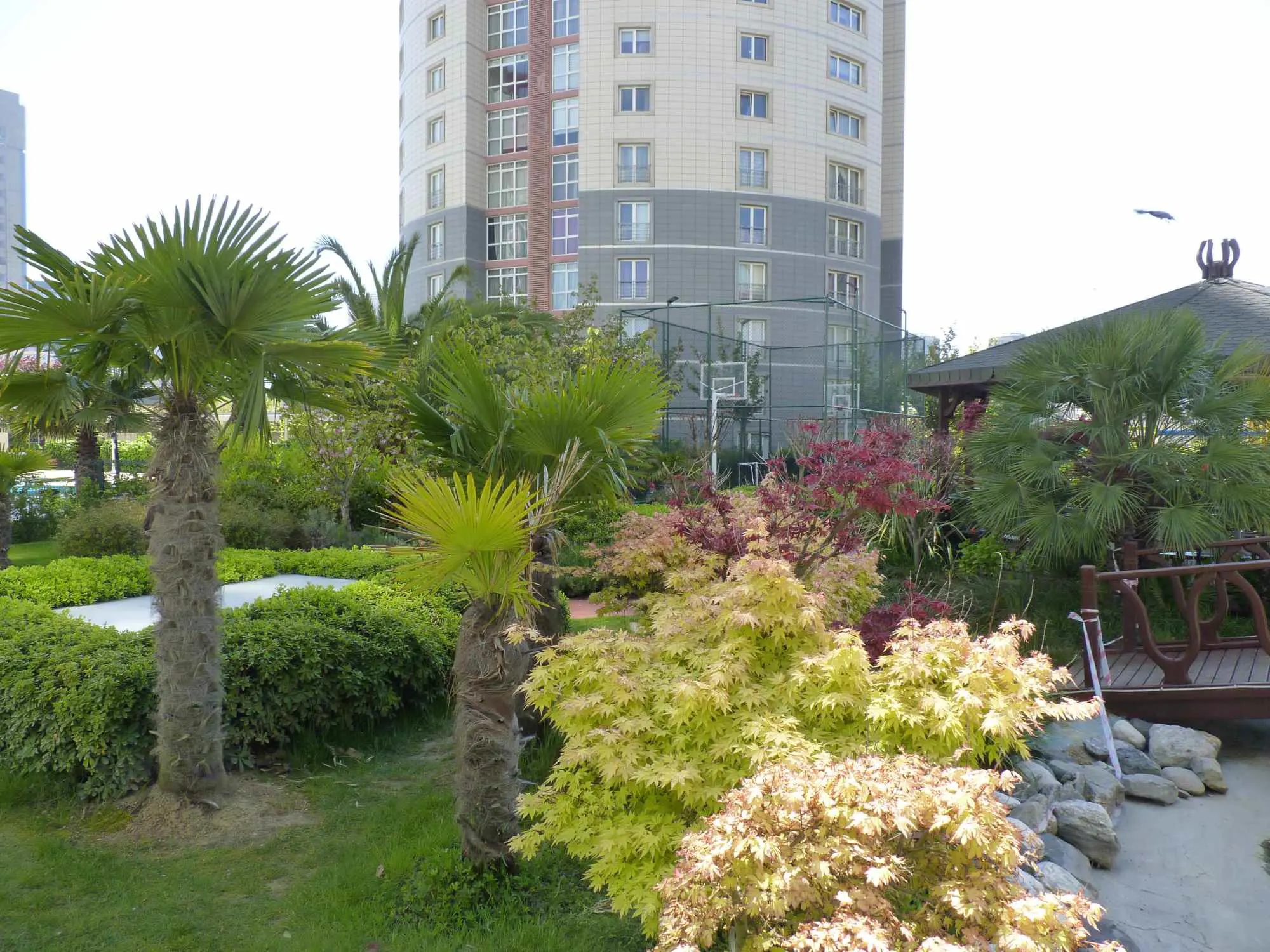 Property image 21
