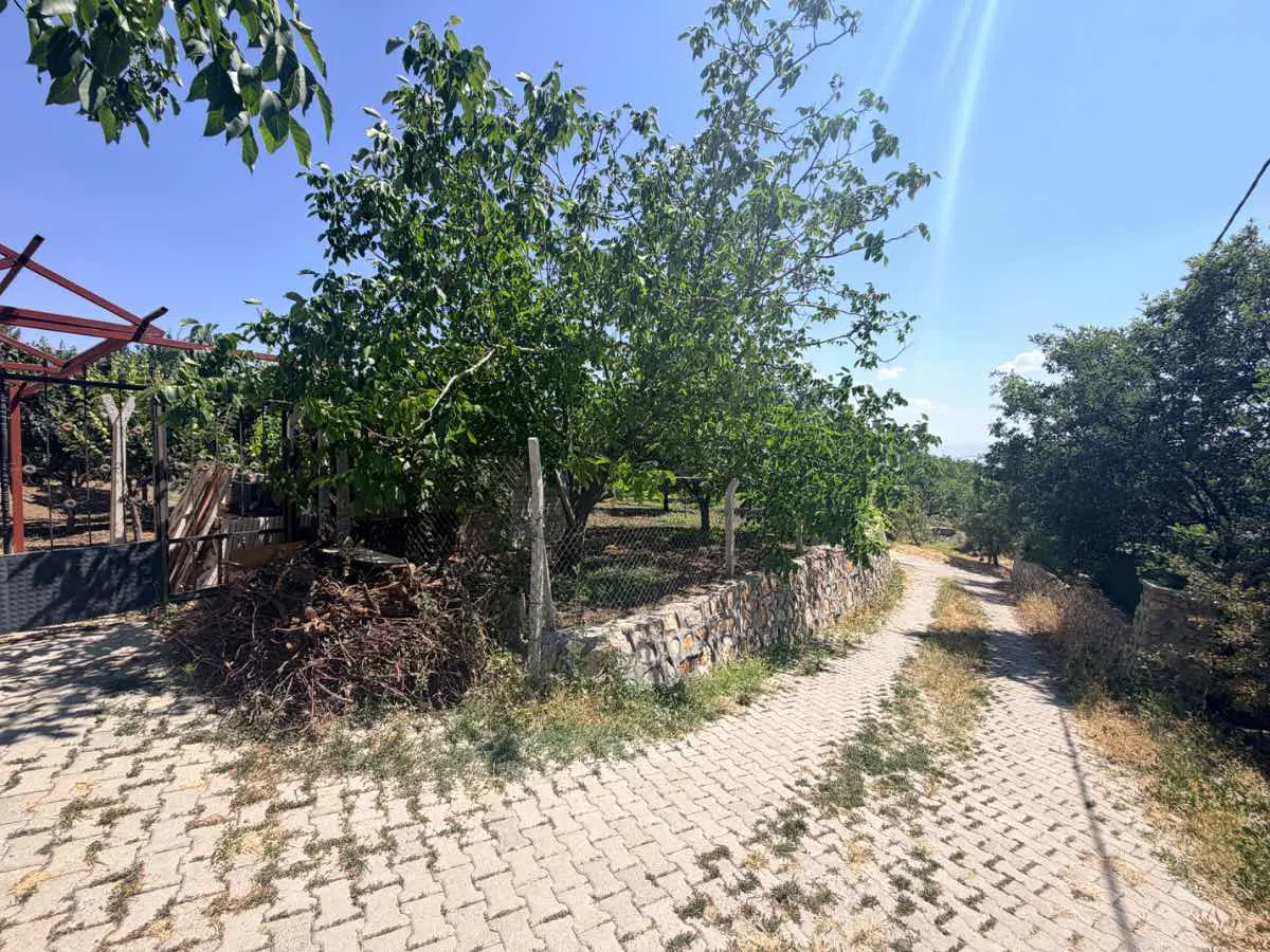Property image 21