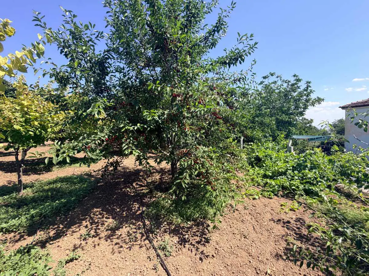Property image 17
