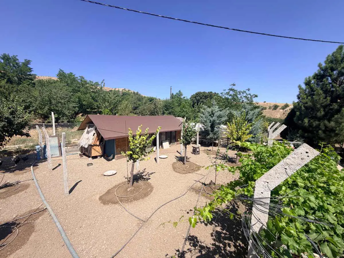 Property image 8